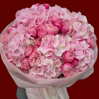 Hydrangea says it all 