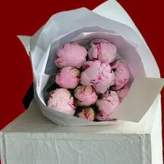 10 dutch peony