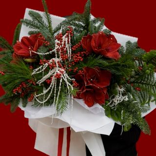 Red Velvet Christmas