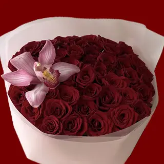 RED ROSES