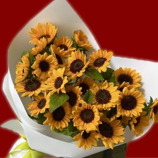 SUNFLOWERS