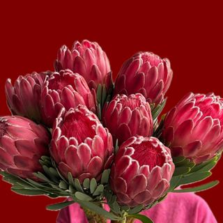 PROTEA BOUQUET