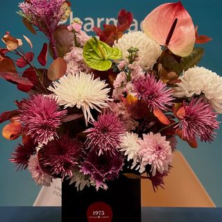 Everybody Here Wants You