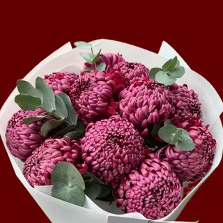 Chrysanthemums