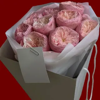 Pink Bloom