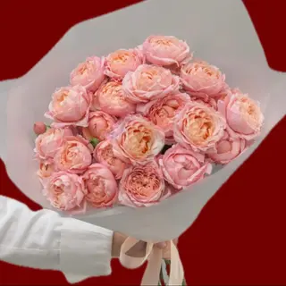 Spray roses