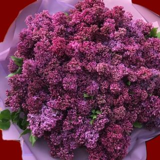 Lilac signature bouquet