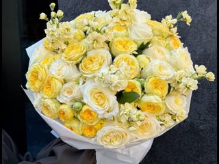 Because every feeling has a color