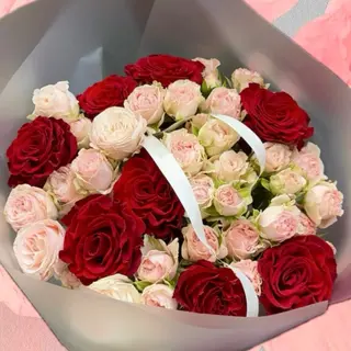 Blush Of Beauty