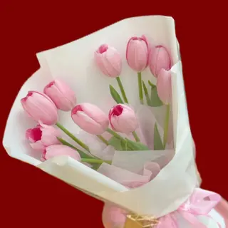 TULIPS