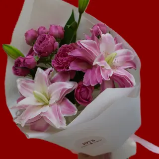 lily/ლილია