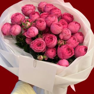Pink Spray Roses