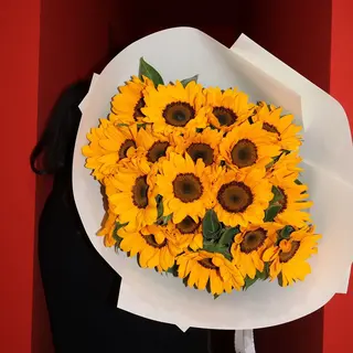Sunflower silence