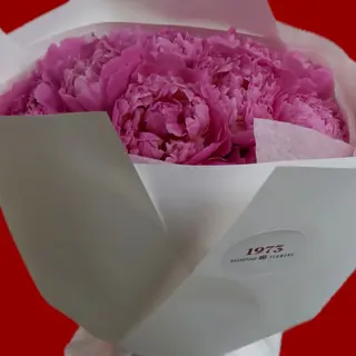Peonies/პიონები