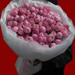 Spray Roses