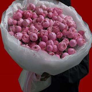 Spray Roses