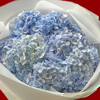 BLUE HYDRANGEA