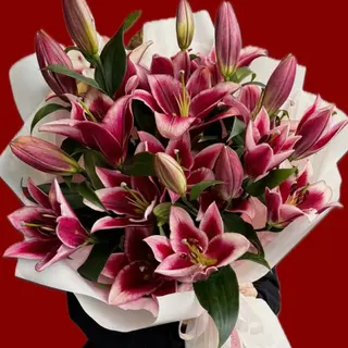 LILIES