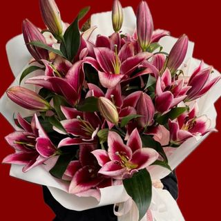 LILIES