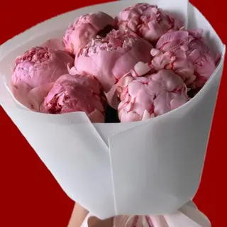PEONY