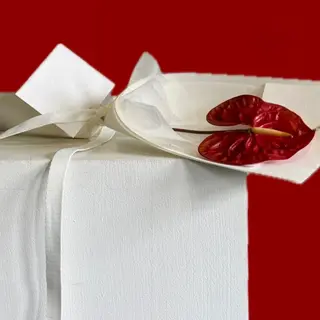 Anthurium Rouge
