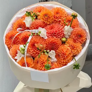 Dahlia obsession