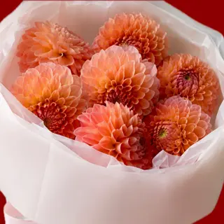 POSY