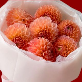 POSY