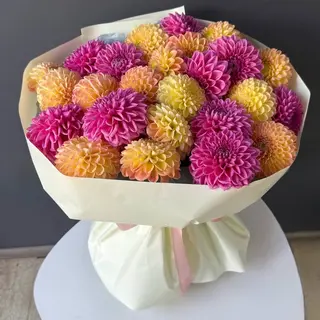 Pink Bloom