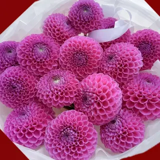 petal set
