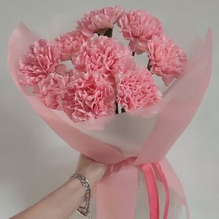 Carnation Bouquet