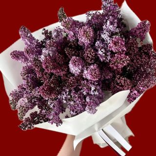 Lilac/იასამანი