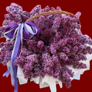 Lilac in Basket