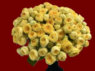 I"ll be loving you always