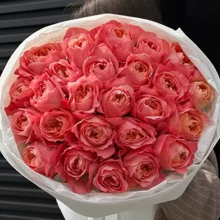 Ostin Roses