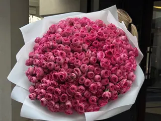 Soft Pink Moments