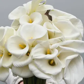 Long stem calla lilies