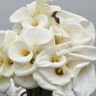Long stem calla lilies