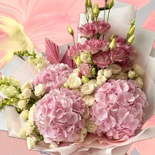 Hydrangea Muse