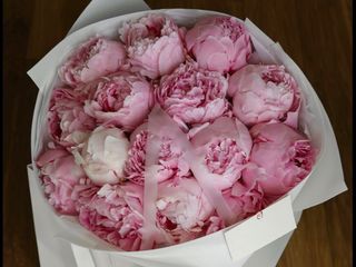 Peony