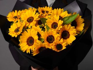 SUNFLOWERS