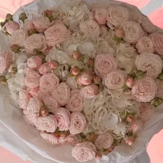 Petals