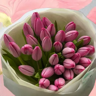 Spring Whisper