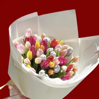 Dutch Tulips