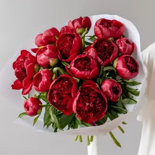 Burgundy peonies bouquet