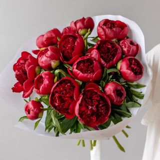 Burgundy peonies bouquet