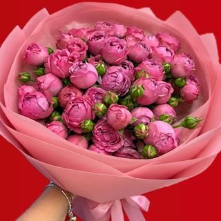 Pink Spray Roses