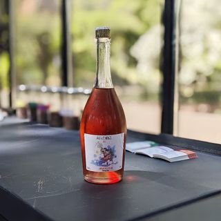 2023 როზე პეტნატი