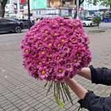 გვირილების თაიგული