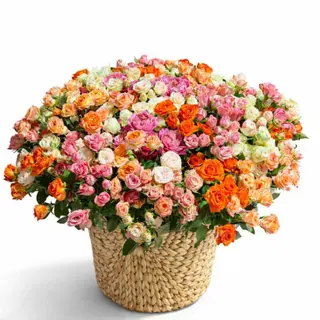 51 spray roses bouquet in a basket